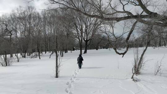 4K60帧人在雪地艰难行走冬天航拍