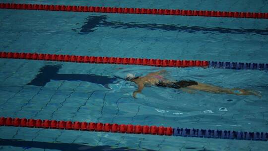 游泳健身自由泳蛙泳运动