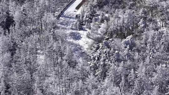 陕西秦岭分水岭雾凇冰挂雪景