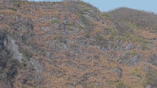 山 大山 山下 山上 石头山