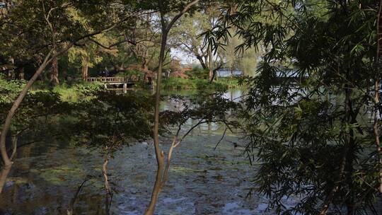 杭州西湖景区红栎山庄