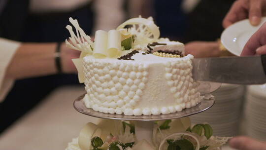 切婚礼蛋糕视频素材模板下载