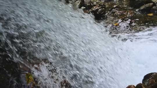 自然小溪流水山泉水花急流