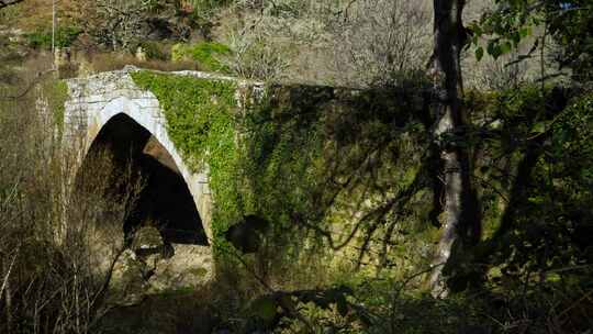 苔藓和藤蔓覆盖着古罗马桥，横跨西班牙奥伦