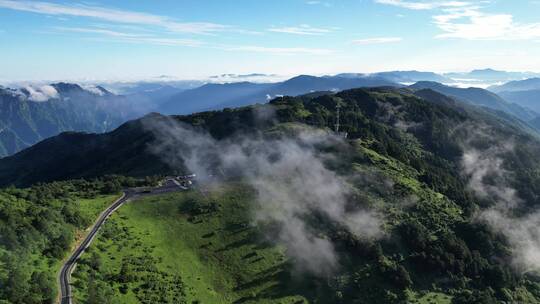 高山云海自然风光神农顶景区神农架原始森林