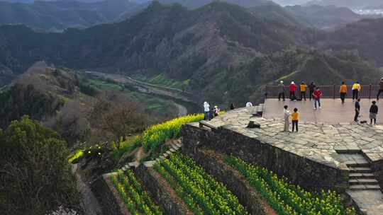 安徽黄山石潭油菜花