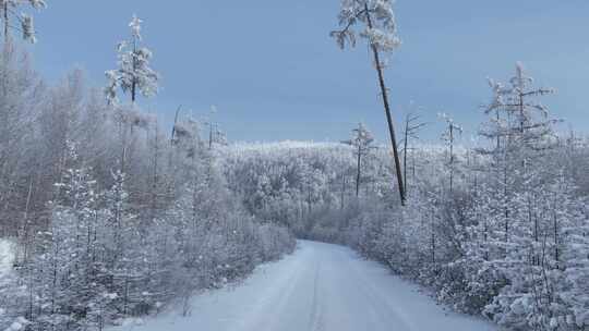 林海雪原雪林和山路