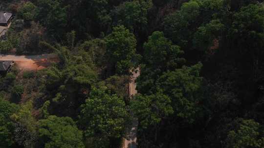 道路小路树林山恋森林