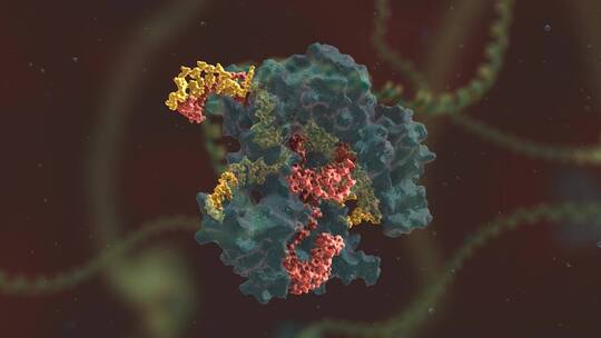 生物科学 基因编辑 DNA 基因工程 医学动画