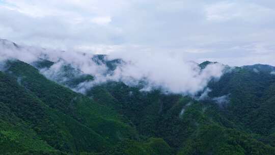 航拍山川云雾森林自然风光大气片头风景视频