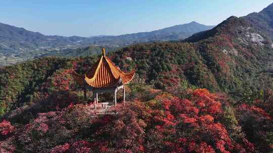 秋天霜降满山红叶航拍