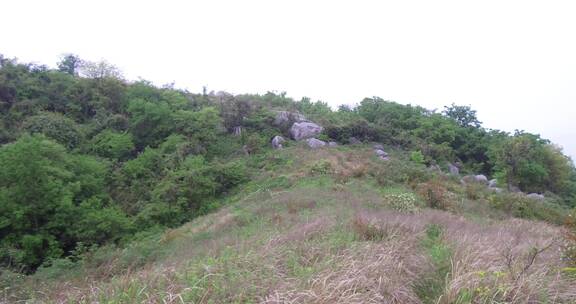 荒山野岭