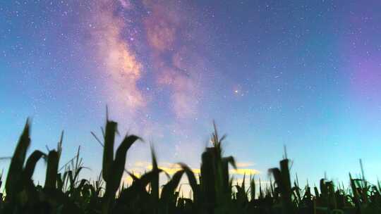 农业农田玉米地星空银河夜空延时