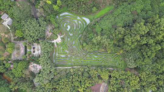 航拍东莞大屏障森林公园的植物迷宫视频素材模板下载