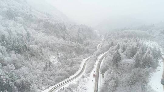 秦岭 雪景 冬天 山航拍