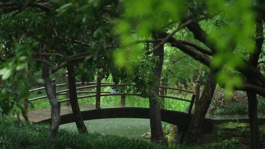 175 杭州 风景 古建筑 下雨天 小桥 树枝