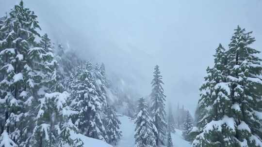 雪原风暴 狂风卷雪 冰峰屹立 白霜覆盖