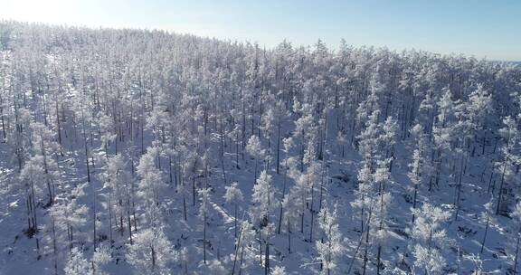 零下40多度的低温航拍大兴安岭冰雪雾凇