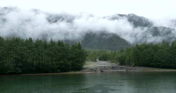 日本长野，绿色，乡村