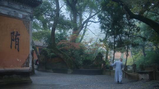 天台山国清寺建筑视频