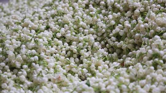 升格慢动作微距特写茉莉花与茉莉花茶制作