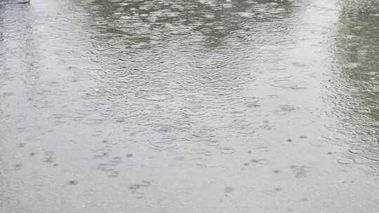 大自然雨季下雨雨滴树林树叶雨水