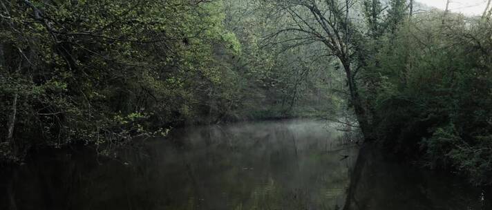 清晨森林河流雾气蒙蒙