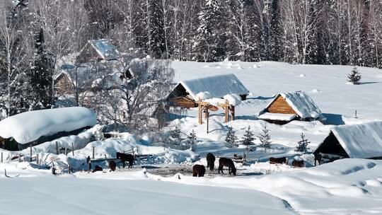 新疆冬季旅游 禾木冬天 村庄 禾木雪景