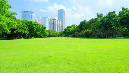 树林 森林 草坪 草地 绿地 榕树