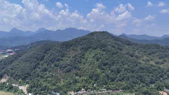 福建三明城市绿化植物航拍