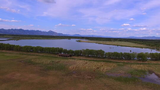夏季航拍北京野鸭湖公园视频素材模板下载