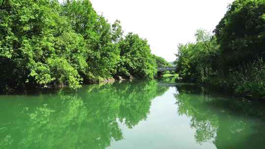 浙江杭州西湖区西溪湿地自然森林湖泊航拍1