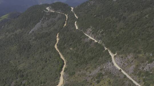 括苍山森林云海风光高山