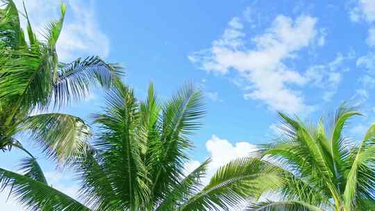 海南三亚蜈支洲岛蓝天白云椰子树沙滩大海