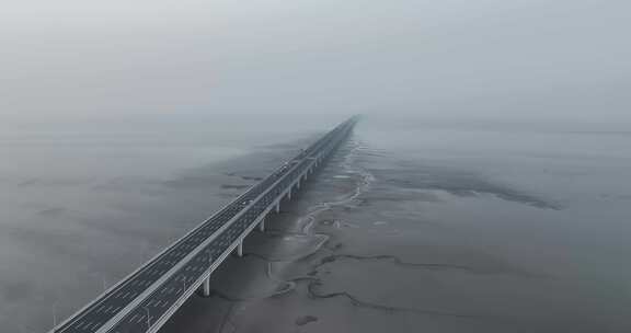 航拍嘉绍大桥钱塘江大地之树