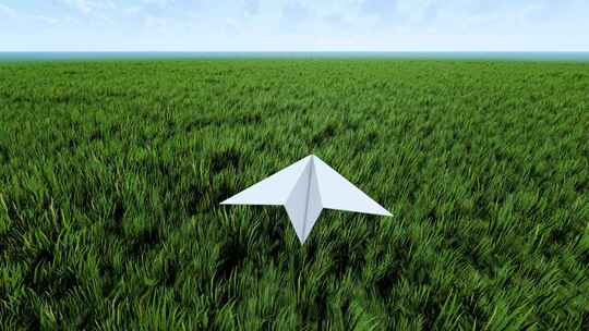 纸飞机飞过草地 飞机梦想 自由希望