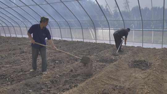 人用铁锹翻耕土地