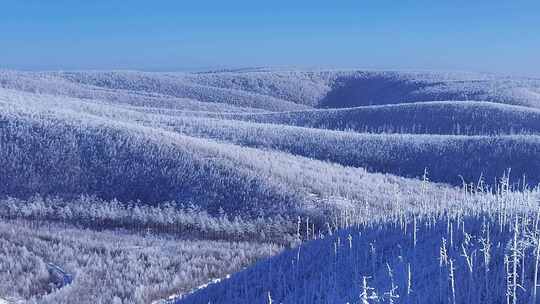 雪域高原千里冰封银装素裹