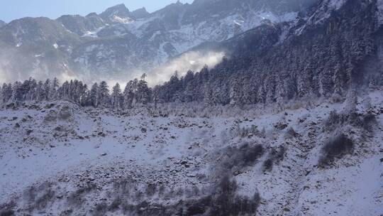 雪山海螺沟