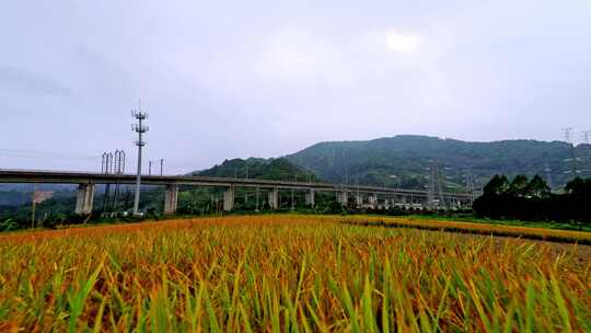 田野间的高铁线路航拍风光