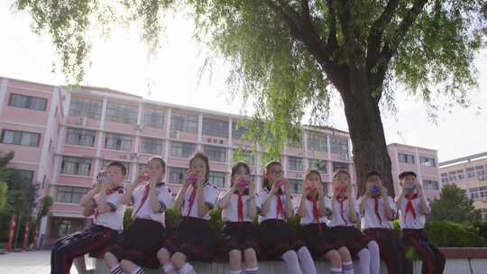 学校六一小学中学校园生活学生时代