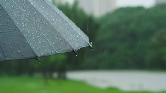 雨伞 暴雨 水滴