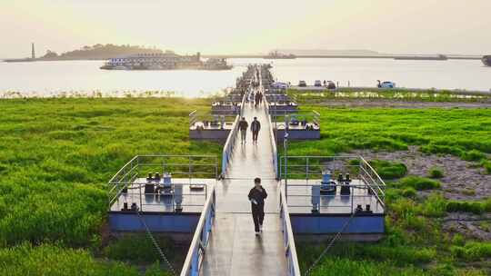 岳阳洞庭湖飘尾夕阳下湖边风光