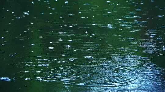 夏季下雨天荷花荷叶雨滴水滴水珠