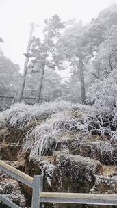 冬日的雪景真的美得不要不要的，最美黄昏