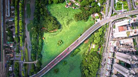 深圳罗湖区洪湖公园水贝片区城市航拍宣传片