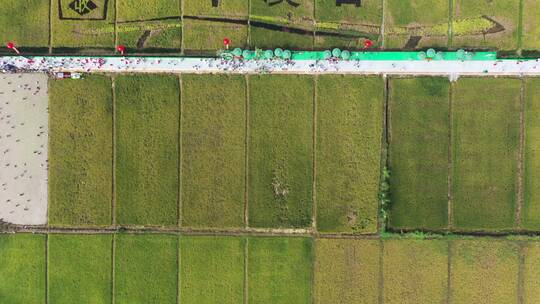美丽乡村义乌廿三里彩绘水稻田园风光航拍视频素材模板下载