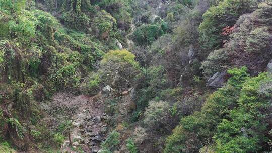 航拍秦岭秋天景色 秦岭 秋季