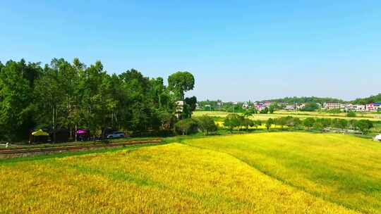 4k长沙望城惜字塔秋景