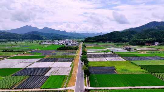 稻田田园风景和谐社会视频素材模板下载